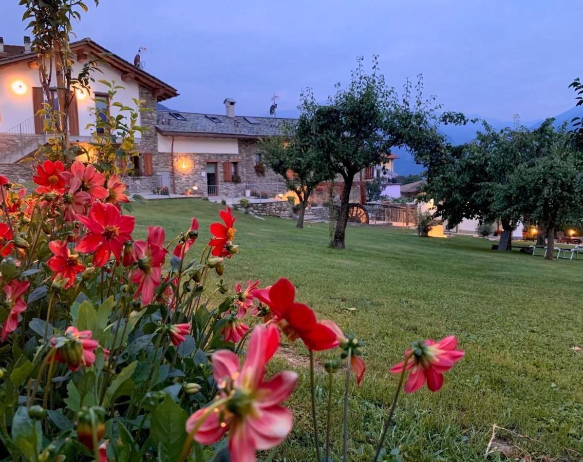 La Volta - Lake Como Heritage Home In Molino Maufet Watermill - Patio On The Garden コーリコ エクステリア 写真