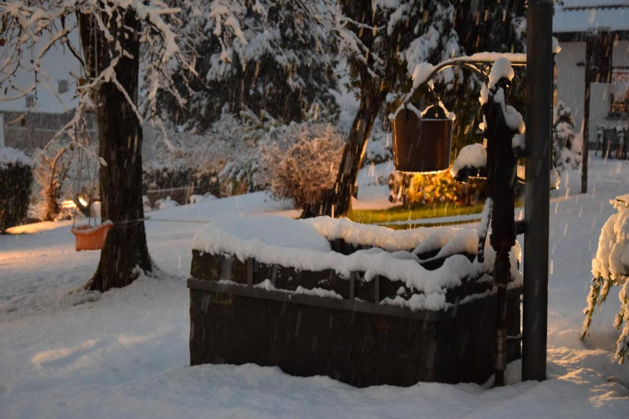 La Volta - Lake Como Heritage Home In Molino Maufet Watermill - Patio On The Garden コーリコ エクステリア 写真
