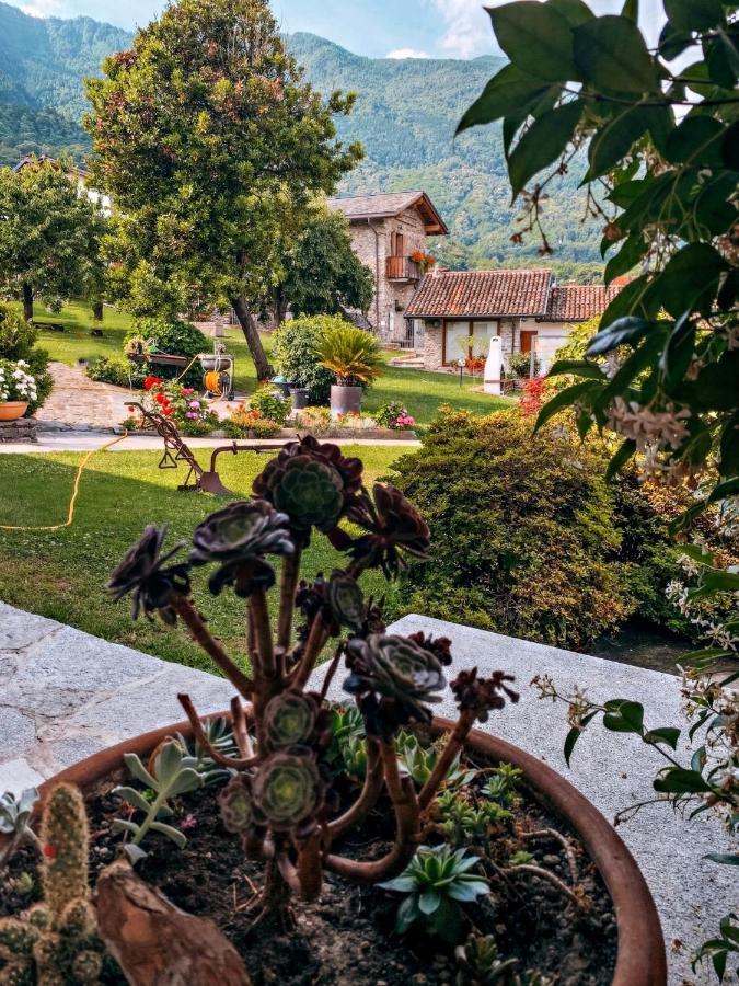 La Volta - Lake Como Heritage Home In Molino Maufet Watermill - Patio On The Garden コーリコ エクステリア 写真